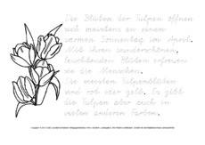 Tulpe-Abschreibtexte-nachspuren-VA 3.pdf